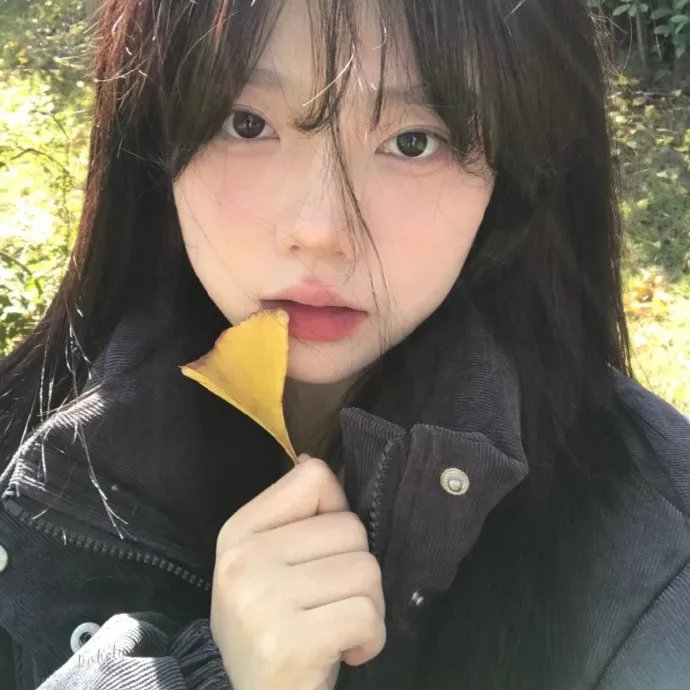 旧梦新欢