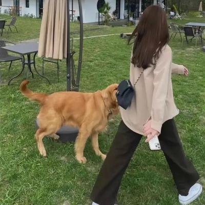 炎热的中午